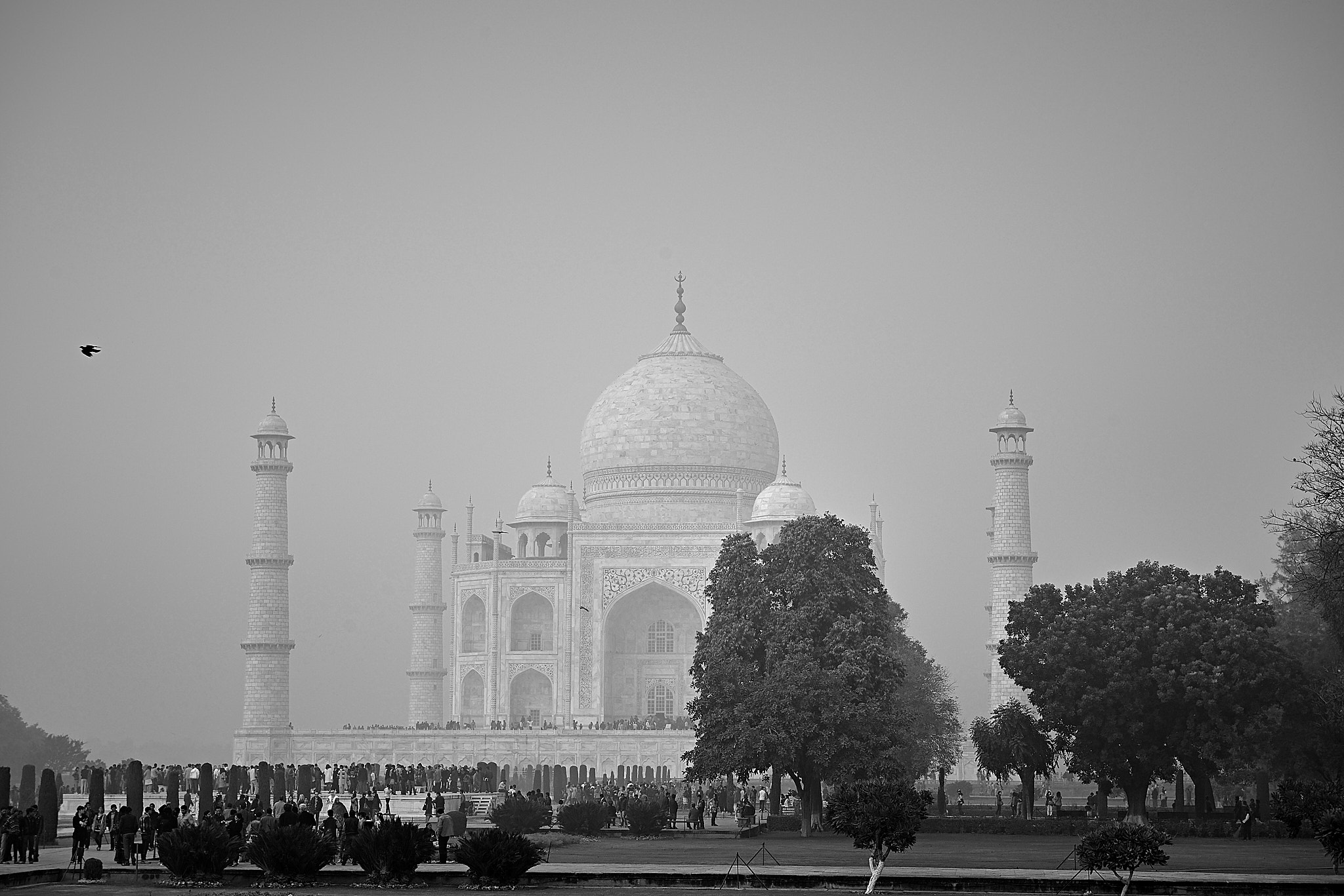 20140106 529 아그라 타지마할