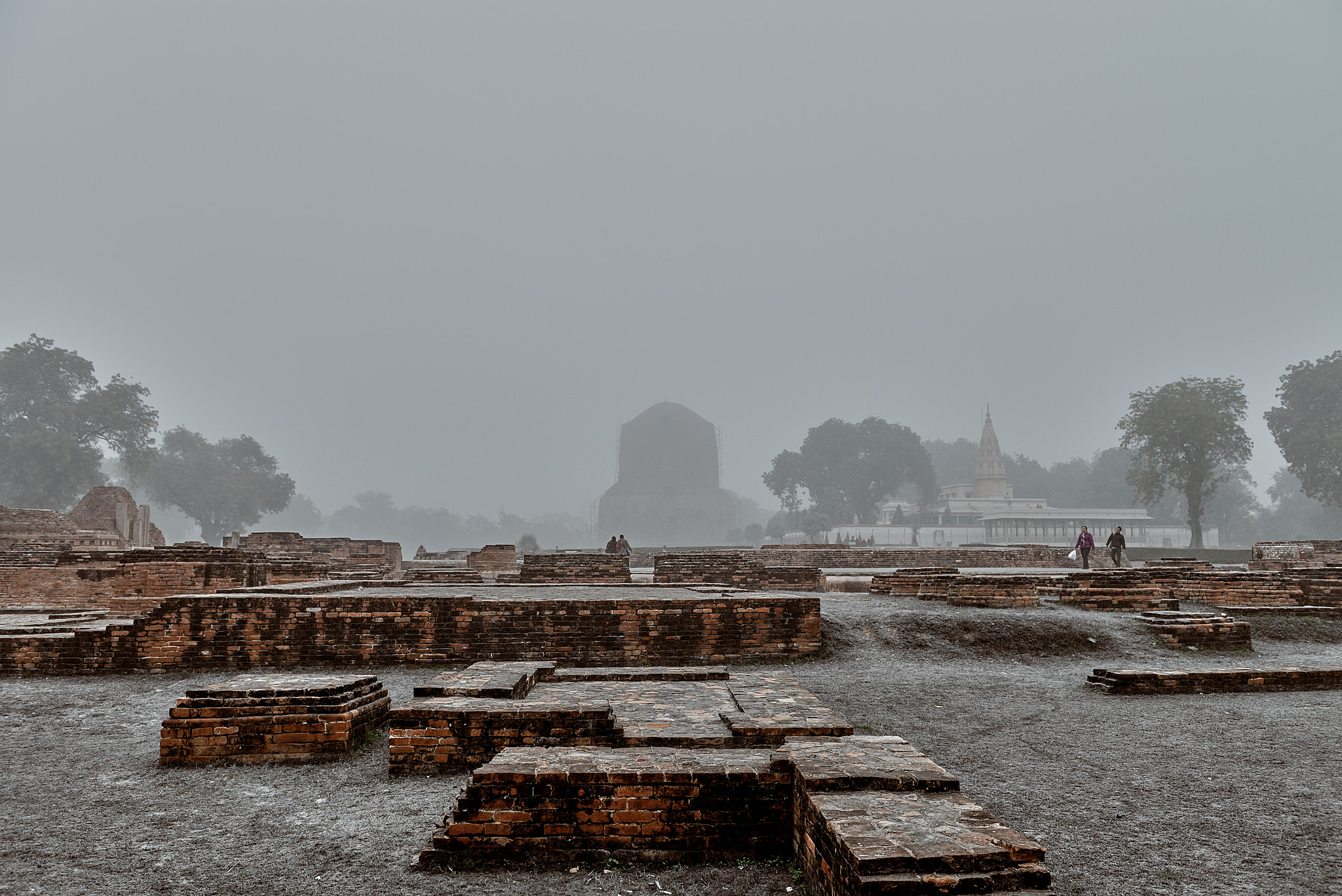 20140109 726 사르나트