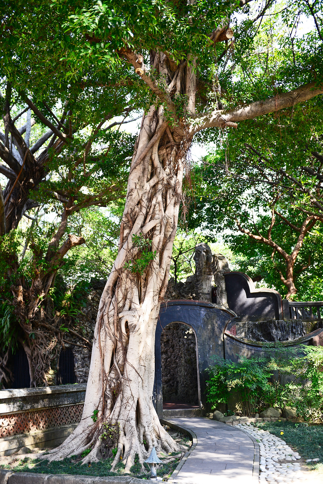 062 타이베이 임가화원