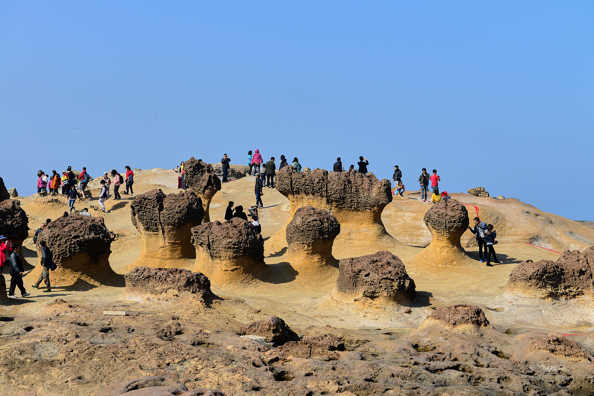 171 예류지질공원