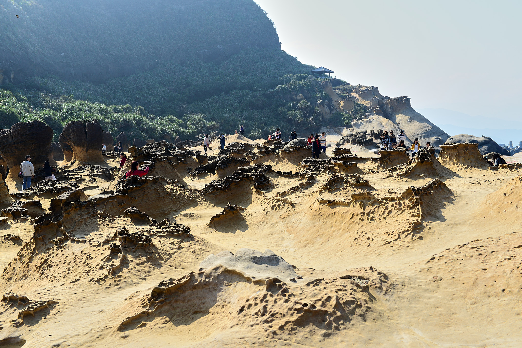 182 예류지질공원