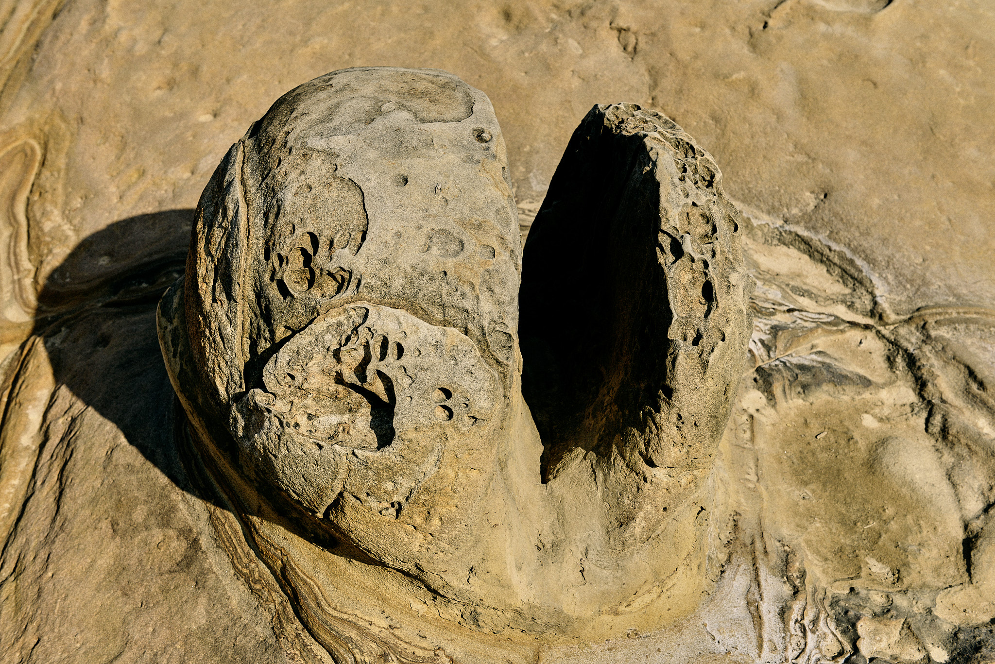 198 예류지질공원