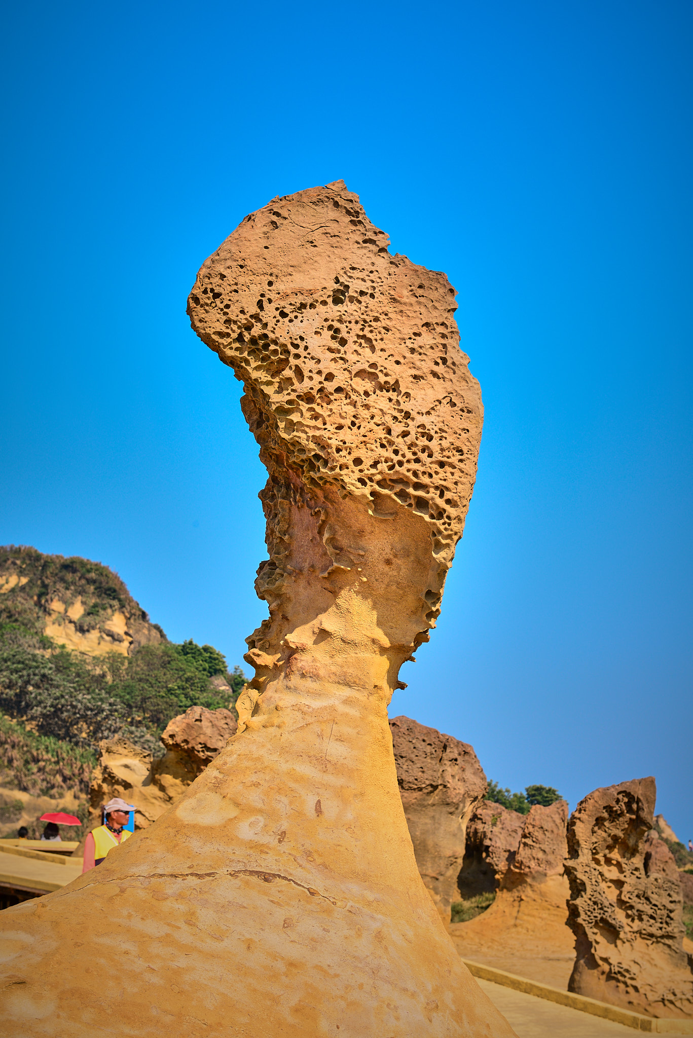 206 예류지질공원