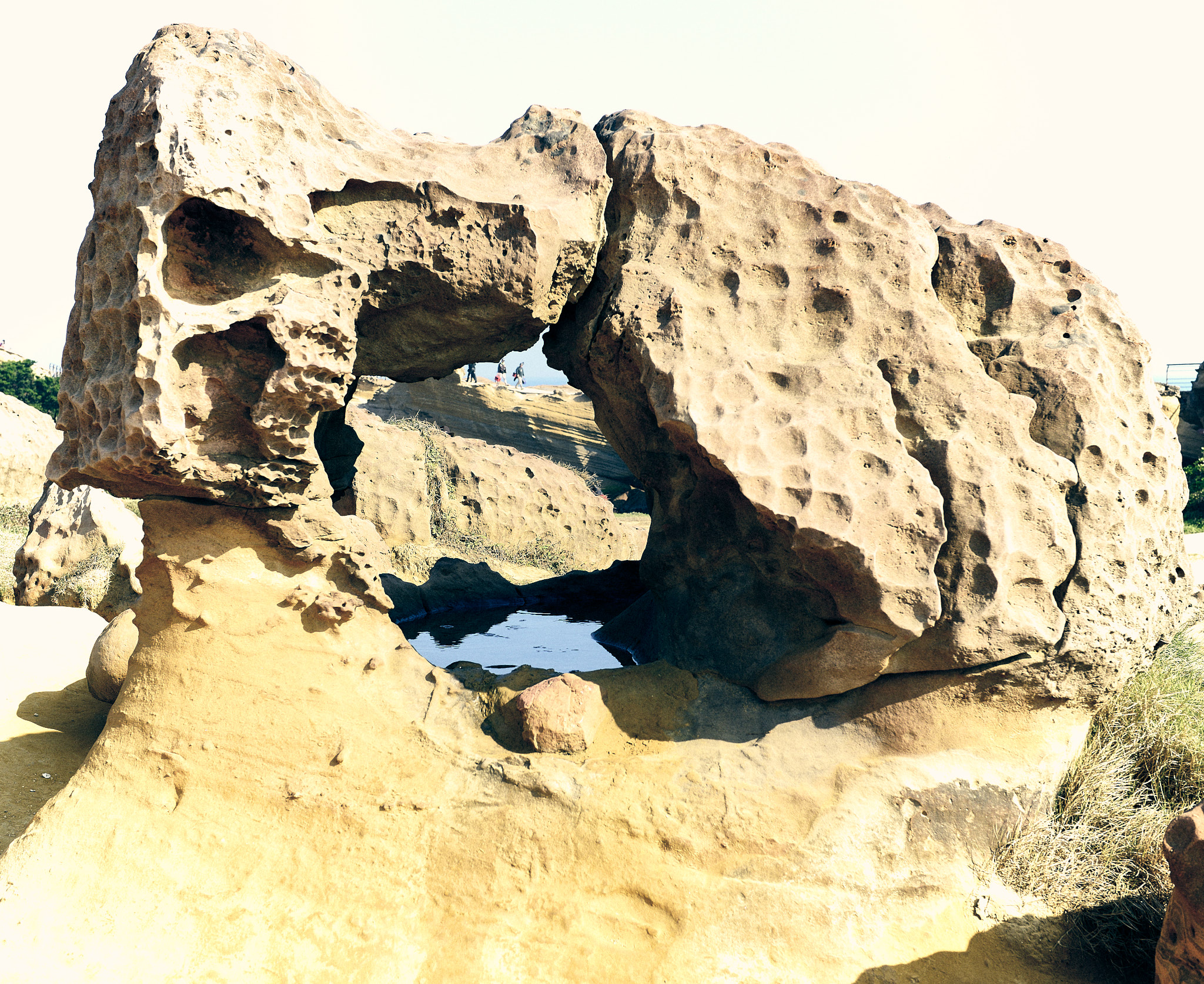 213 예류지질공원