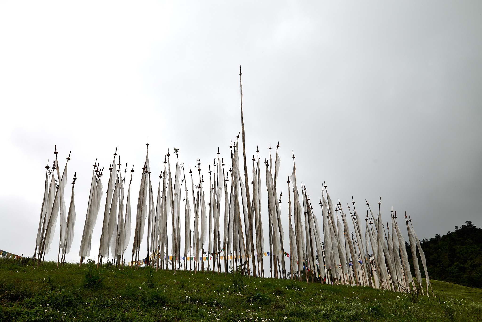 20170806 112 Gangtey