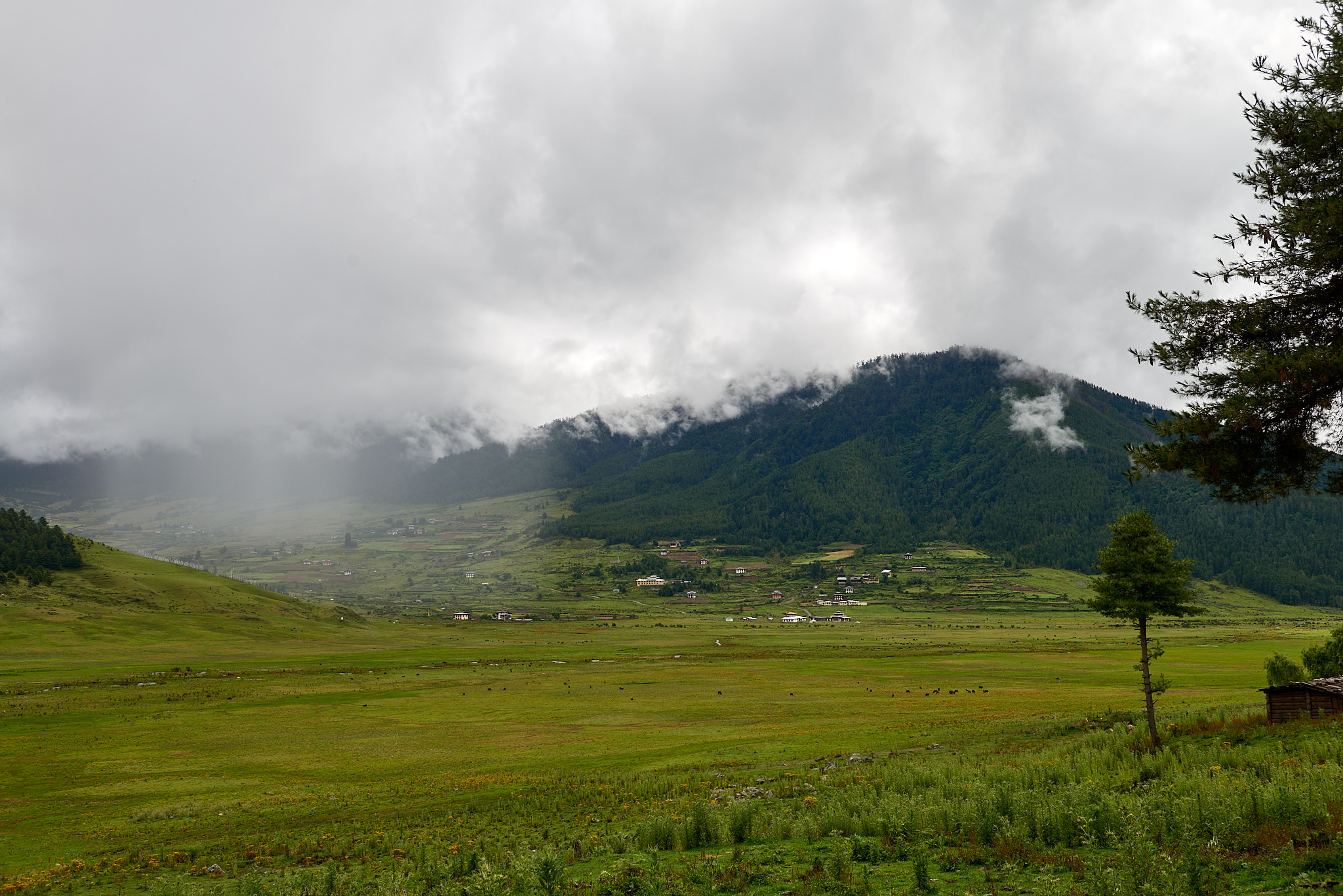 20170807 114 Gangtey