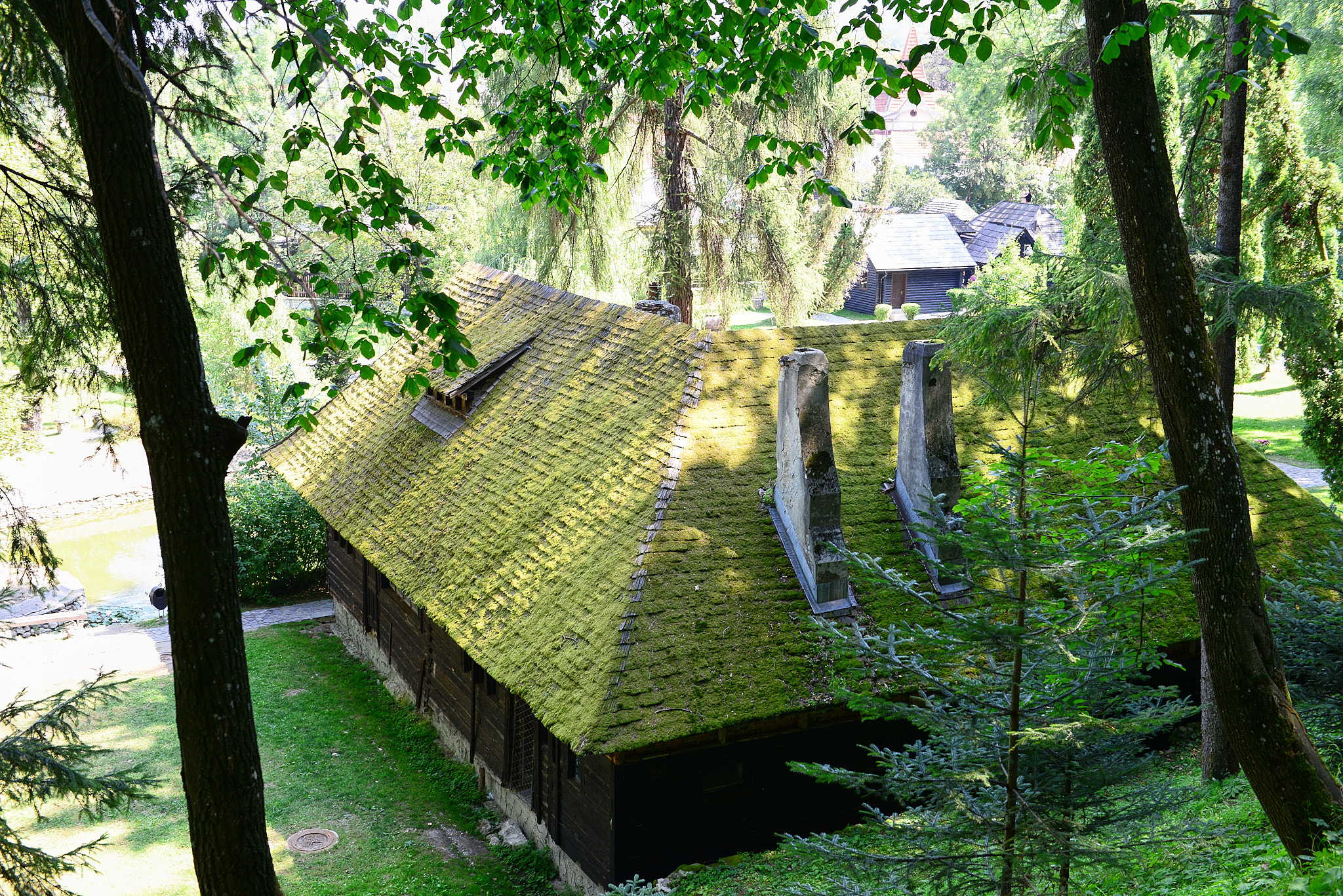 20130808 035 Bran 브란성